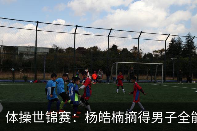 体操世锦赛：杨皓楠摘得男子全能银牌
