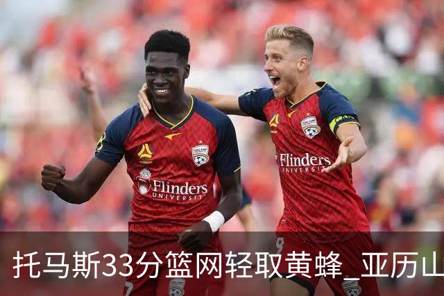 托马斯33分篮网轻取黄蜂 亚历山大32+9雷霆胜