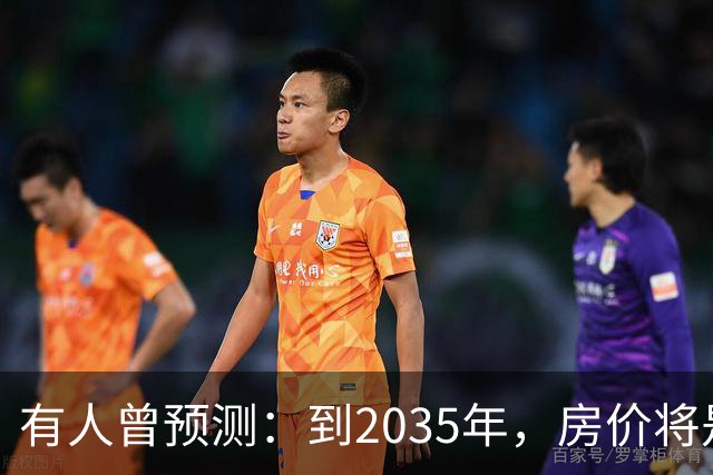有人曾预测：到2035年，房价将是现在的2-3倍，这有可能吗？