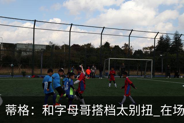 蒂格：和字母哥搭档太别扭 在场上根本摸不到球