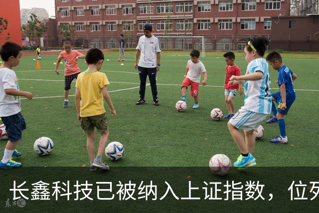 长鑫科技已被纳入上证指数，位列第一大权重股