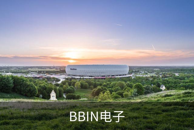 BBIN电子公司简介